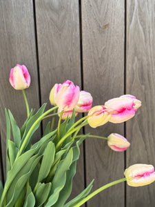 Parrot Pink Vision Tulips, Small Bunch