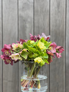 Hellebores, Small Bunch