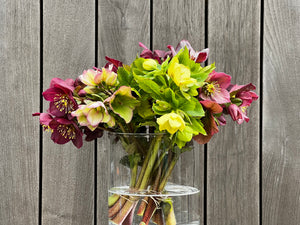 Hellebores, Small Bunch