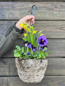 8in Hanging Basket