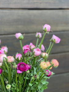 Ranunculus, Small Bunch